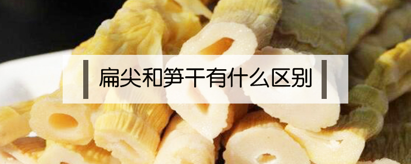 扁尖和筍干有什么區別
