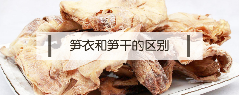 筍衣和筍干的區(qū)別