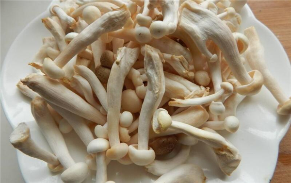 白玉菇長(zhǎng)白毛還能吃嗎