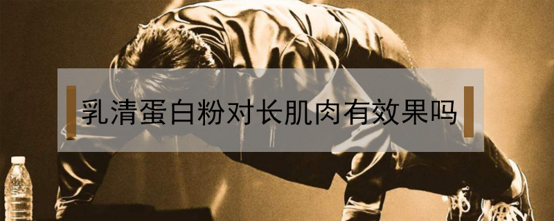乳清蛋白粉對(duì)長肌肉有效果嗎