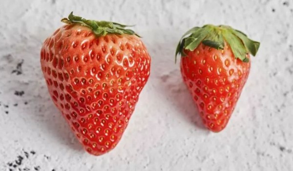 有機草莓和普通草莓的區(qū)別
