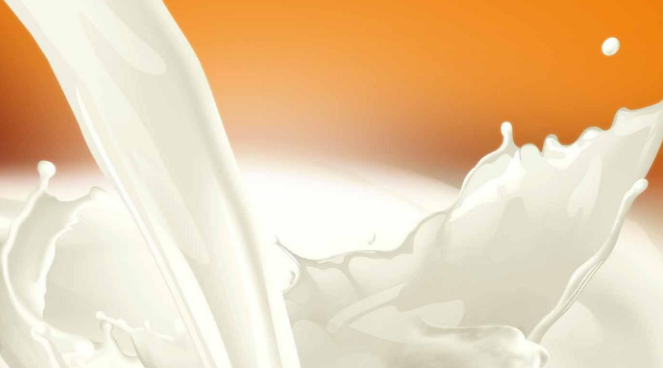 乳清蛋白和增肌粉的區(qū)別是什么