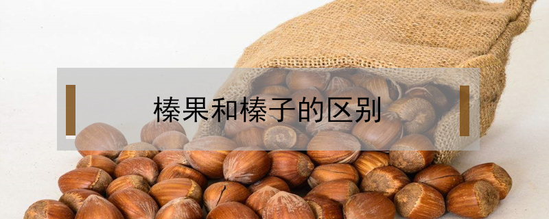 榛果和榛子的區別