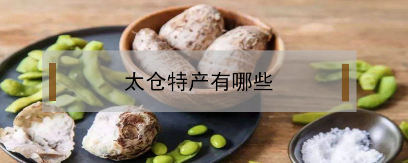 太倉特產(chǎn)有哪些