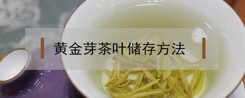 黃金芽茶葉儲存方法
