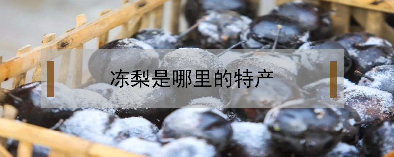 凍梨是哪里的特產(chǎn)