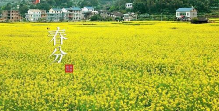 春分吃什么美食，春分節(jié)氣養(yǎng)生吃什么菜?