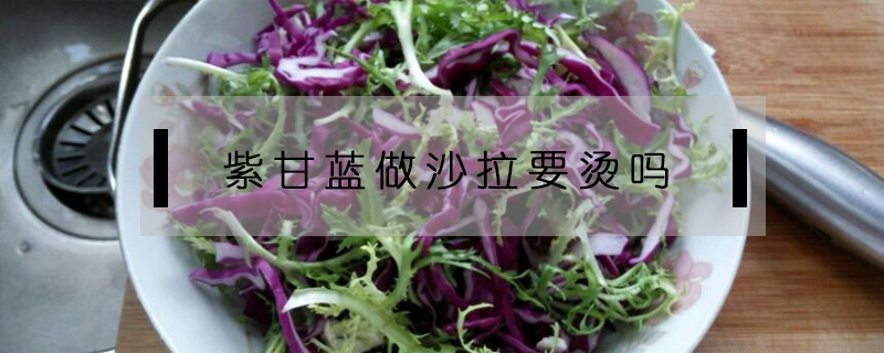 紫甘藍(lán)做沙拉要燙嗎