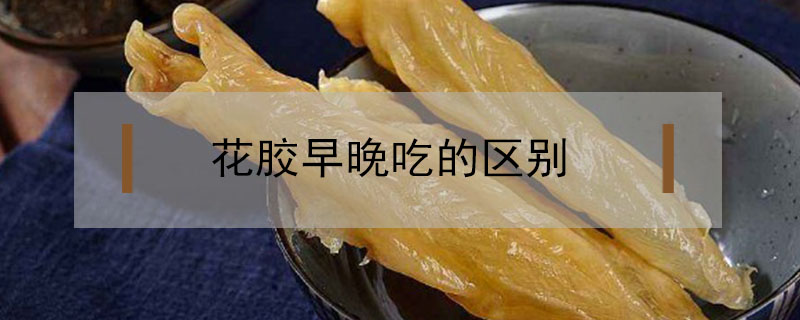 花膠早晚吃的區(qū)別