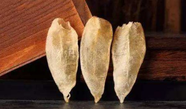 花膠怎么選