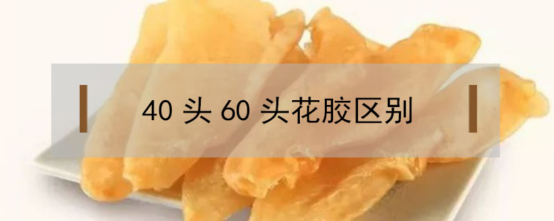 40頭60頭花膠區別