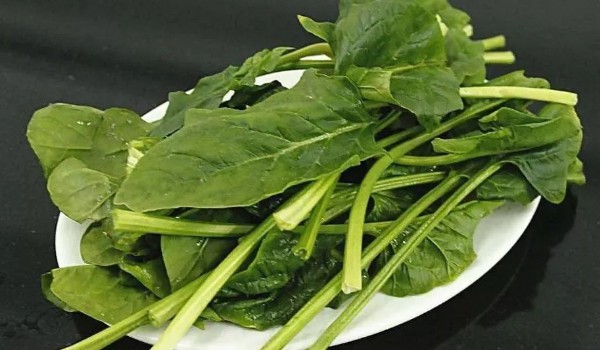 菠菜為什么會(huì)苦