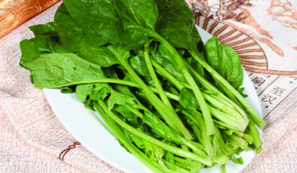 菠菜為什么會(huì)苦