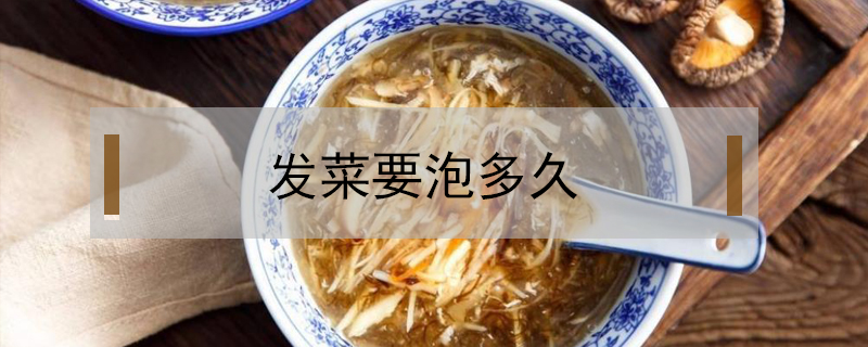 發(fā)菜要泡多久