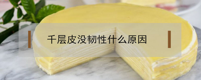 千層皮沒韌性什么原因