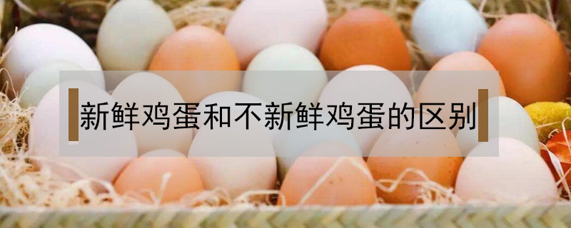 新鮮雞蛋和不新鮮雞蛋的區(qū)別