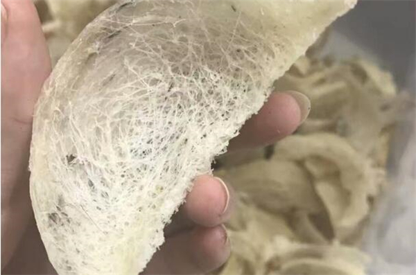 毛燕和燕窩的區(qū)別