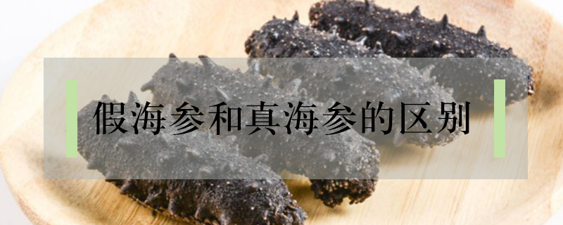 假海參和真海參的區(qū)別