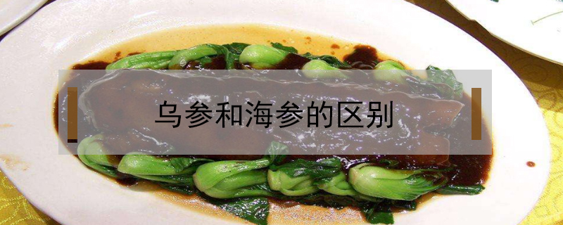 烏參和海參的區別
