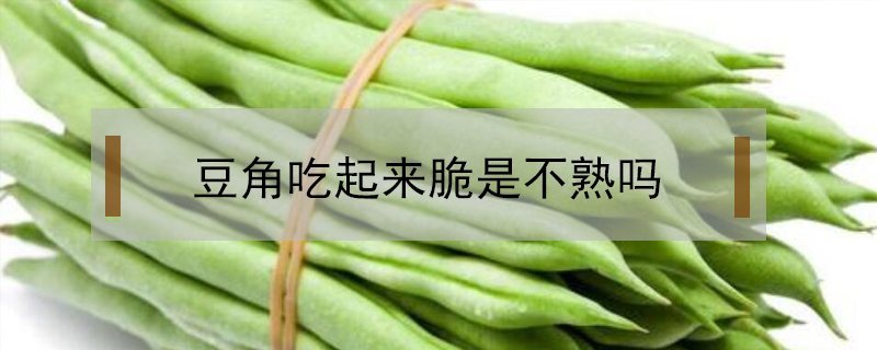 豆角吃起來(lái)脆是不熟嗎