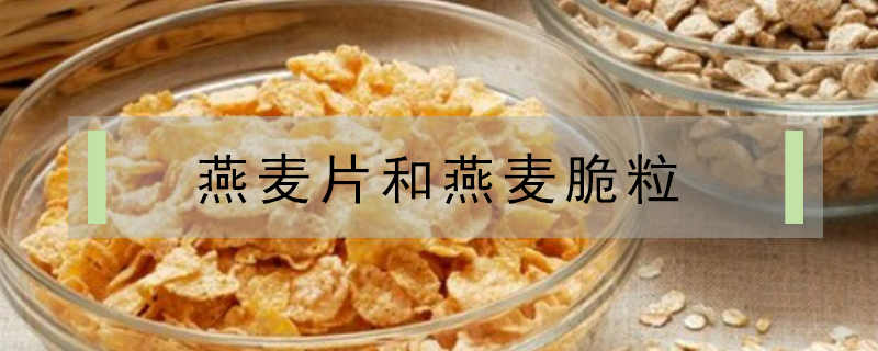 燕麥脆粒和燕麥片區(qū)別