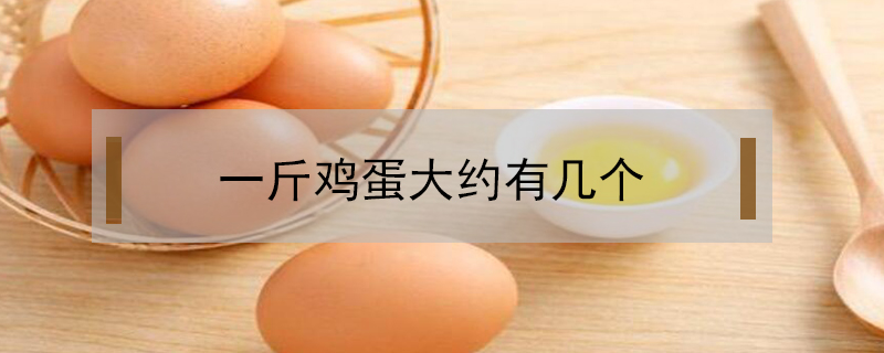 一斤雞蛋大約有幾個