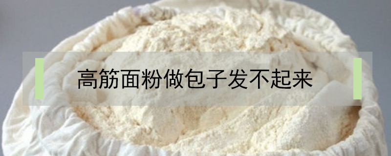 高筋面粉做包子發不起來