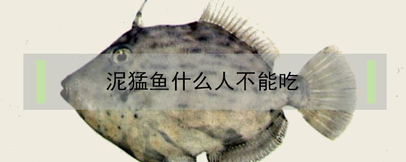 泥猛魚什么人不能吃