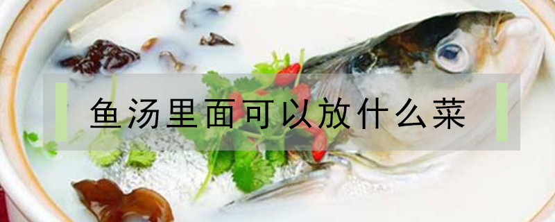 魚湯里面可以放什么菜