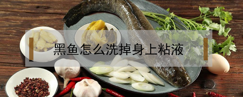 黑魚怎么洗掉身上粘液