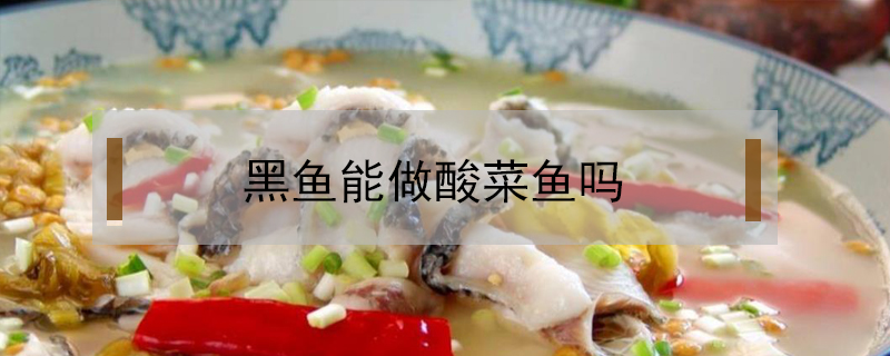 黑魚能做酸菜魚嗎