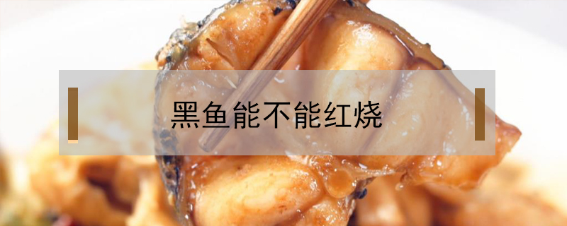 黑魚能不能紅燒