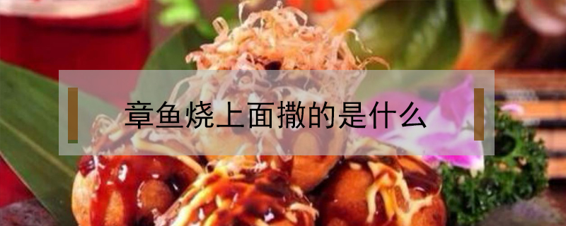章魚燒上面撒的是什么