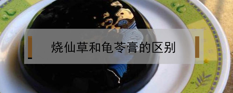 燒仙草和龜苓膏的區(qū)別