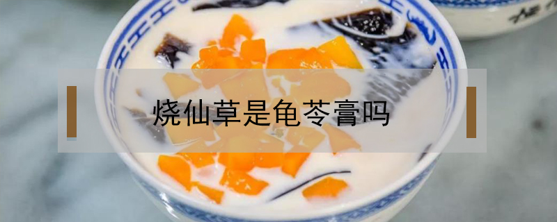 燒仙草是龜苓膏嗎