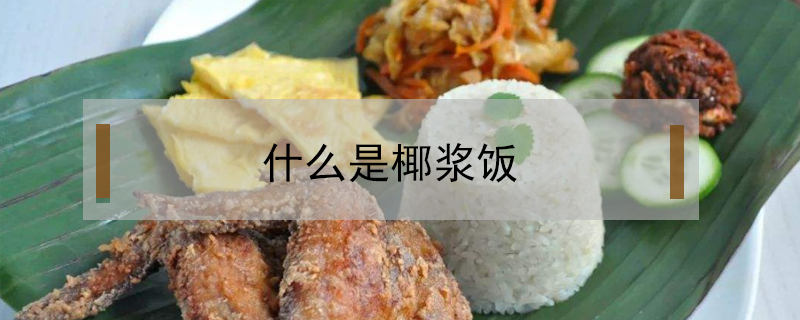 什么是椰漿飯