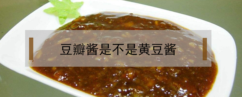 豆瓣醬是不是黃豆醬