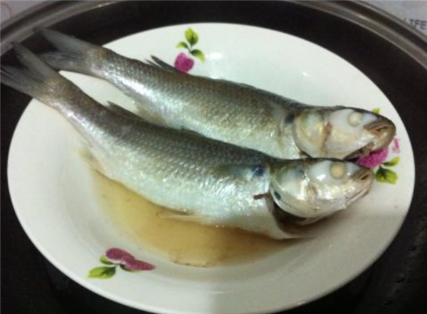 黑魚能清蒸嗎