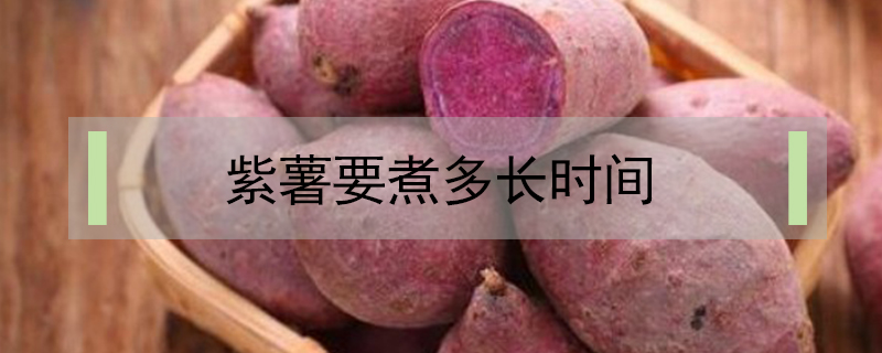 紫薯要煮多長(zhǎng)時(shí)間