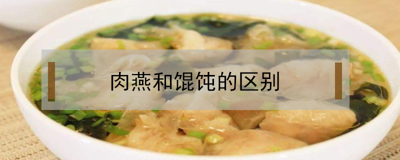 肉燕和餛飩的區別