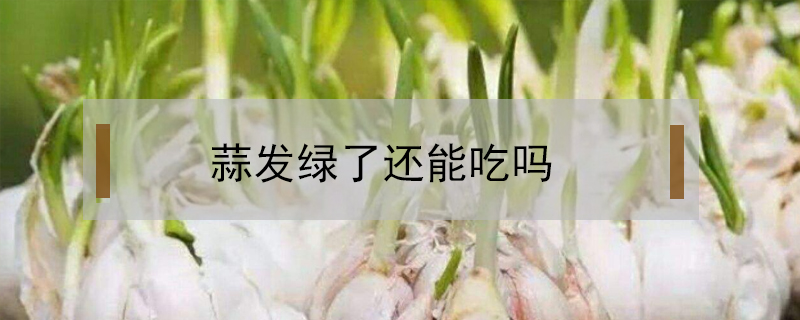 蒜發(fā)綠了還能吃嗎