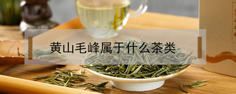 黃山毛峰屬于什么茶類
