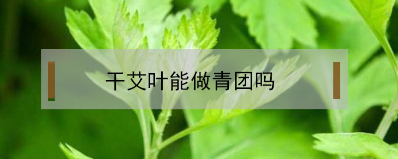 干艾葉能做青團嗎