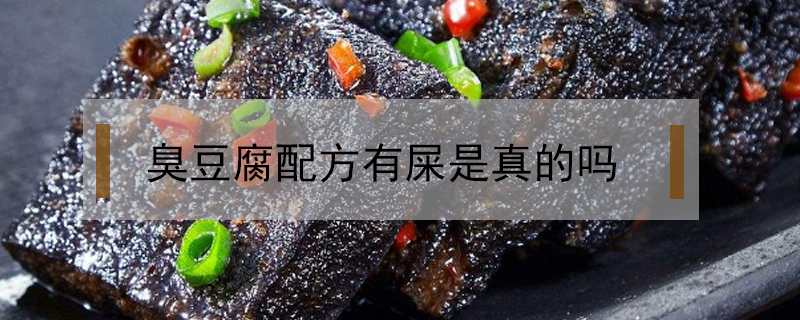 臭豆腐配方有屎是真的嗎