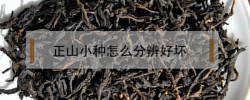 正山小種怎么分辨好壞