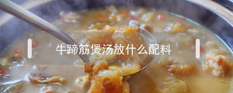 牛蹄筋煲湯放什么配料
