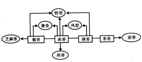 白酒香型分類及特點