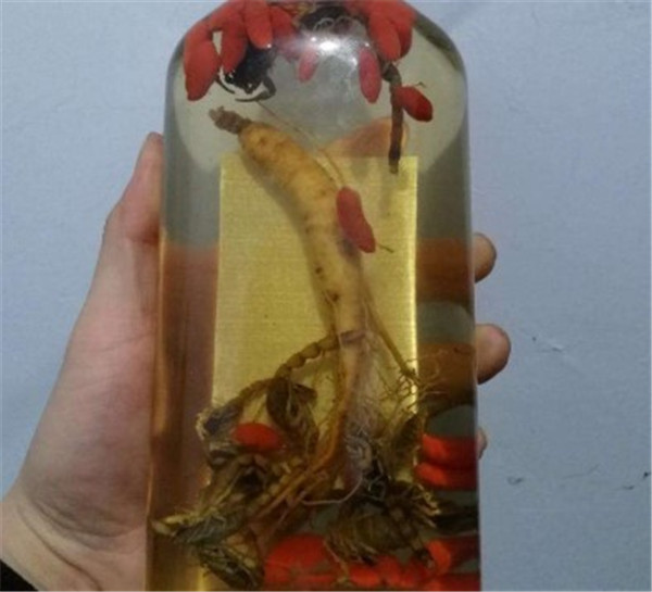 活蝎子能直接泡酒嗎