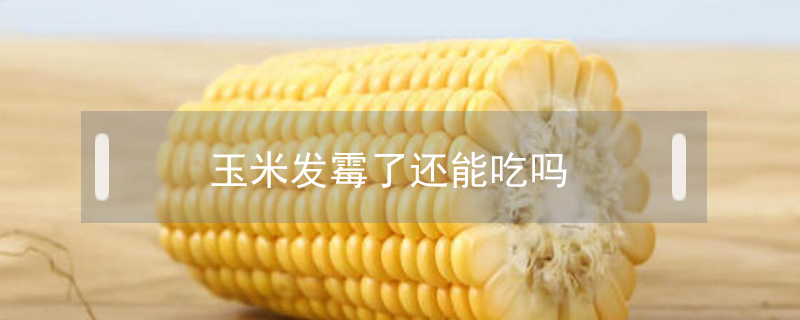 玉米發(fā)霉了還能吃嗎