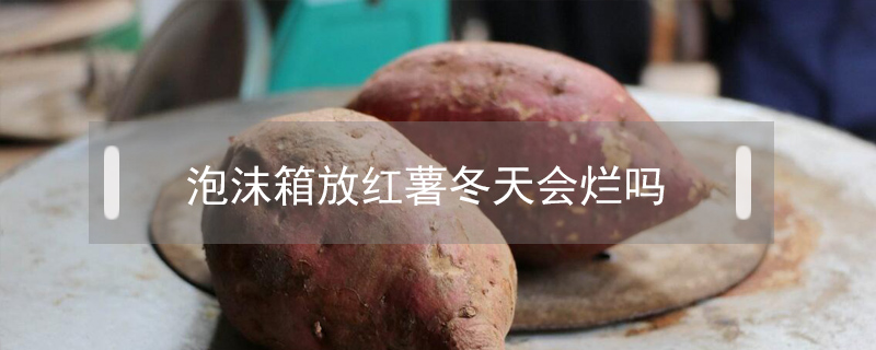 泡沫箱放紅薯冬天會爛嗎